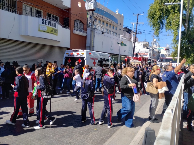 Ni&ntilde;as de una Secundaria en la colonia Centro de Culiac&aacute;n son atacadas por abejas; hay m&aacute;s de 20 lesionadas