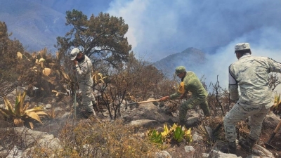 Incendio en Ca&ntilde;&oacute;n del Novillo, en Tamaulipas, consume m&aacute;s de 2 mil hect&aacute;reas