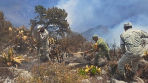Incendio en Ca&ntilde;&oacute;n del Novillo, en Tamaulipas, consume m&aacute;s de 2 mil hect&aacute;reas