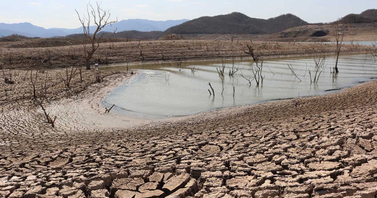 Sinaloa, entre los 10 estados del país con el 100 por ciento de los municipios afectados por sequía
