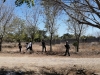 Hallan el cuerpo de un hombre es estado grave de descomposici&oacute;n a espalda de Gr&uacute;as Culiac&aacute;n