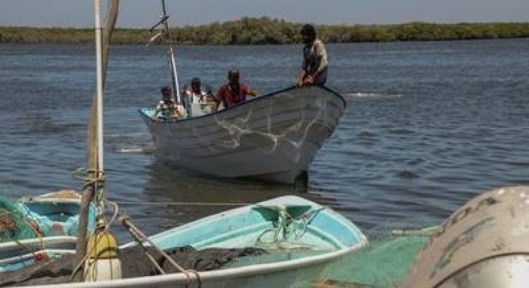 Inservibles las pangas de los pescadores sinaloenses, asegur&oacute; pescador