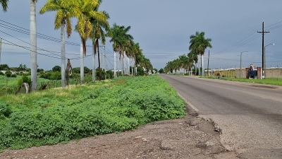 2 personas sin vida y envueltas en plástico negro son localizadas junto a la carretera &#039;La 20&#039;, en Costa Rica, en Culiacán