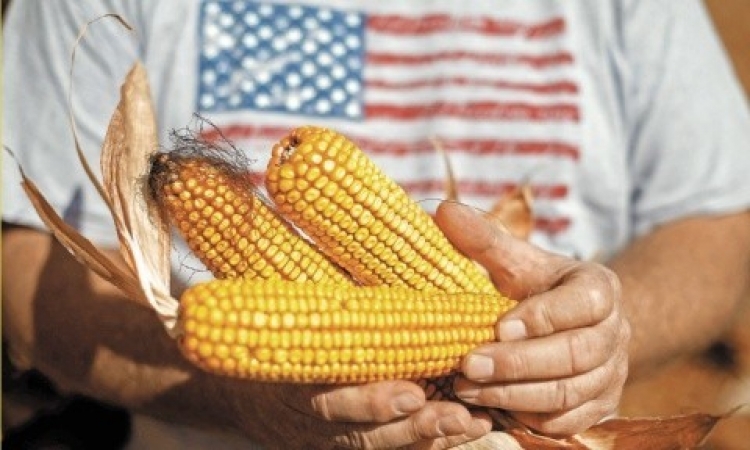 México y Estados Unidos esperan concretar en enero acuerdo sobre disputa de maíz