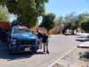 RESUMEN: 4 personas asesinadas, 4 'levantadas' y un auto robado en Sinaloa, el saldo rojo del 09 Marzo 2025