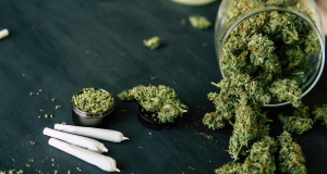 Mercado de cannabis en México valdría hasta 250 mdd en su primer año