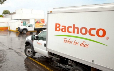 Accionistas minoritarios de Bachoco consideran injusta oferta de familia Robinson Bours