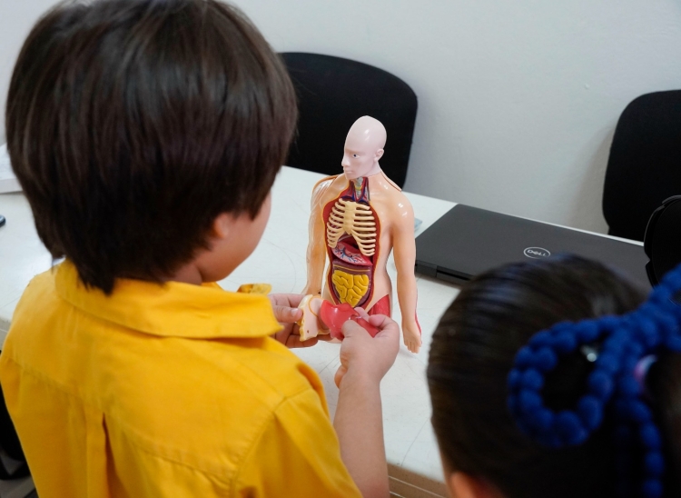 Desnutrici&oacute;n silenciosa por ultraprocesados golpea a ni&ntilde;os, advierte UAS