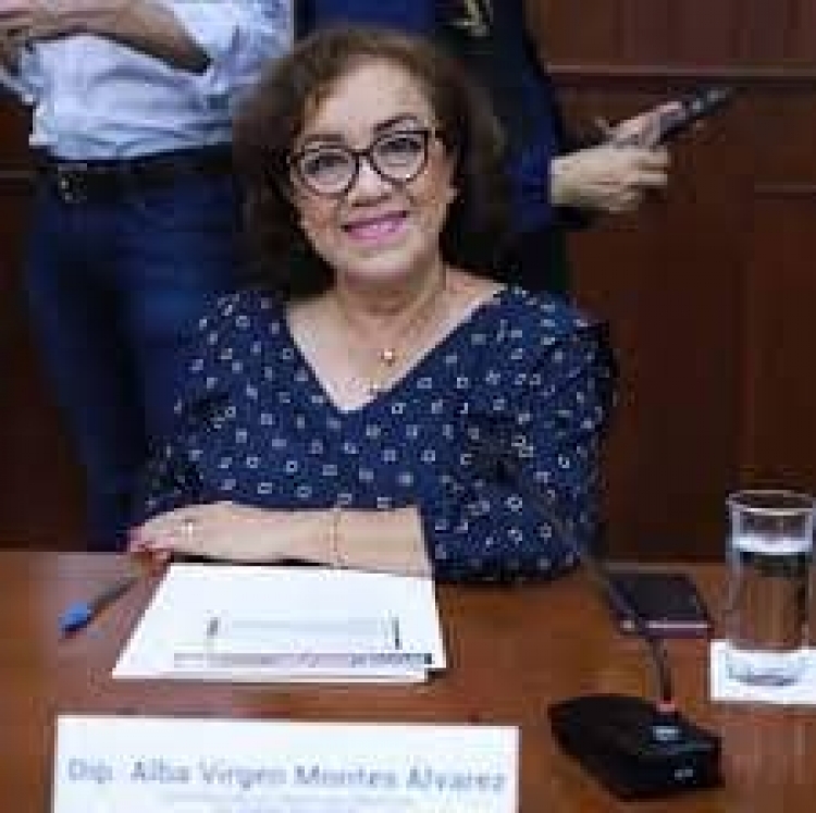 Criminales rebasan a la autoridad: Alba Virgen Montes
