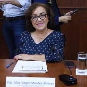 Criminales rebasan a la autoridad: Alba Virgen Montes