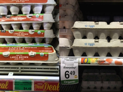 LLega a 5 d&oacute;lares la docena de huevos en los Estados Unidos
