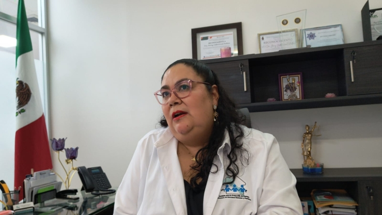 El periodismo en Sinaloa entre la intimidación, amenazas y amedrantamiento, señala el IPPDDyP