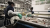 M&eacute;xico, entre los pa&iacute;ses con menos d&iacute;as de vacaciones para trabajadores