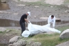 Fallece ahogado un hombre en una laguna de la ampliaci&oacute;n 5 de Febrero