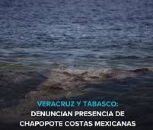Ante autoridades omisas se expande r&aacute;pidamente derrame de chapopote en Veracruz y Tabasco