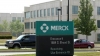 El laboratorio Merck anuncia avances en su f&aacute;rmaco contra el COVID-19