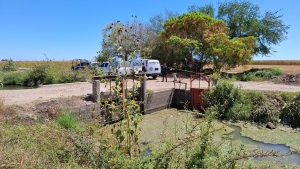 Hombre es hallado asesinado en Villa Ju&aacute;rez, Navolato; le dispararon en la cabeza y ten&iacute;a los pies amarrados