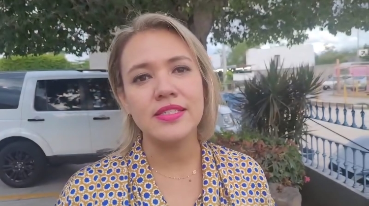 Tardan ocho meses en integrar un Consejo de Seguridad y sin oposición: Erika Sánchez
