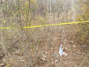 Hallan restos &oacute;seos y casquillo de bala, a un lado de la carretera a Imala, en Culiac&aacute;n