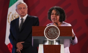 Ochoa &Aacute;valos, titular de Conavim es la cuarta funcionaria en renunciar a su cargo en el &uacute;ltimo mes