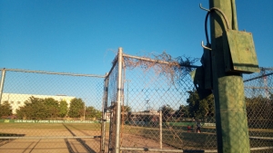 Roban cableado el&eacute;ctrico de la Liga Culiac&aacute;n Recursos