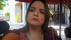 Quirino no tiene impedimento para ser Embajador en Espa&ntilde;a: PRI