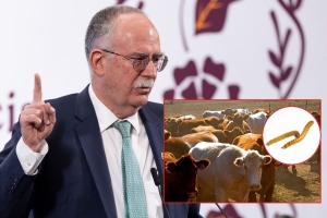 Senadores exigen la renuncia de Julio Berdegu&eacute;, Secretario de Agricultura, por el gusano barrenador