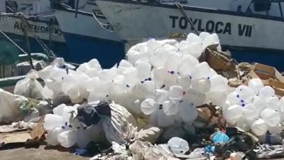 Basura en el Bonfil genera mala imagen