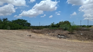 Localizan el cuerpo de un hombre ejecutado a balazos y en estado de descomposici&oacute;n en un terreno bald&iacute;o, en Navolato