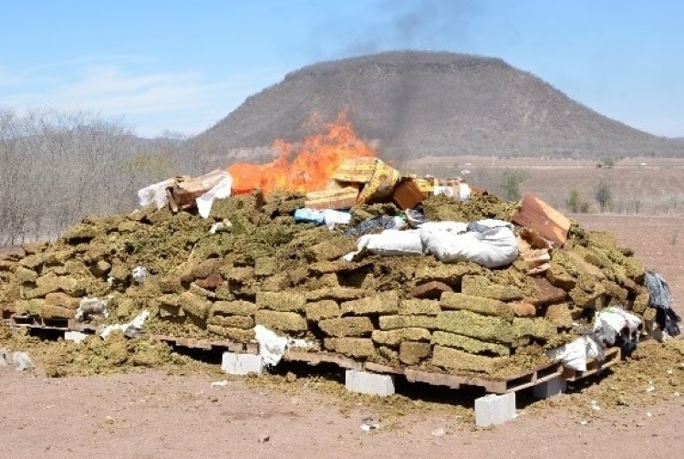 Incinera la FGR seis toneladas de drogas y precursores químicos, en Sinaloa
