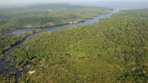 La selva amaz&oacute;nica emiti&oacute; m&aacute;s di&oacute;xido de carbono del que absorbi&oacute; durante la &uacute;ltima d&eacute;cada
