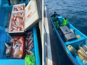 Caen en EU pescadores de Tamaulipas con huachinango extra&iacute;do de forma ilegal