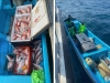 Caen en EU pescadores de Tamaulipas con huachinango extra&iacute;do de forma ilegal