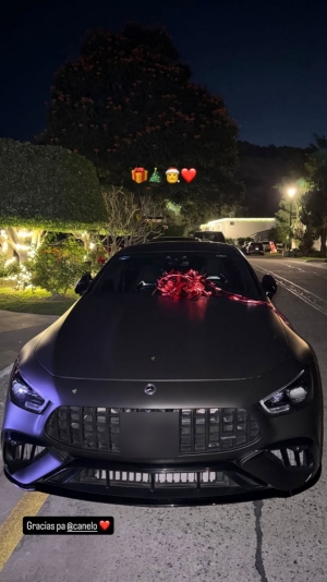 Lujoso autom&oacute;vil de m&aacute;s de 2.6 millones de pesos regalo 'El Canelo' a su hija mayor