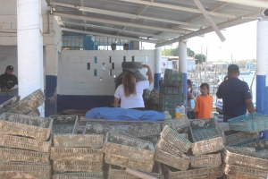 Tres menores mueren ahogados en volcadura de panga, en El Castillo, Navolato