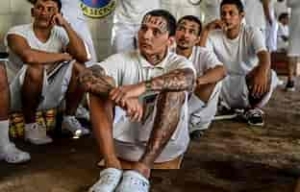 M&aacute;s de 7 mil criminales deportados en primera semana de la administraci&oacute;n de Trump