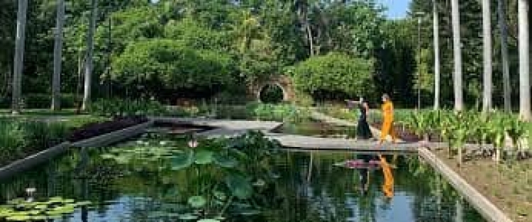 Promueven amparo contra el gobernador por renovar concesión del Jardín Botánico