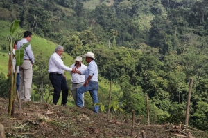 Tabasco, el estado del Presidente, es el más beneficiado con Sembrando Vida