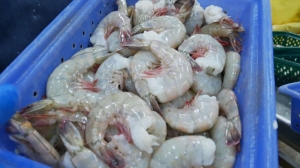 Huachicamar&oacute;n ecuatoriano pone al borde de la quiebra a productores mexicanos