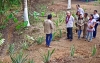 Gobierno no acepta recomendaciones del Coneval sobre sus programas insignia