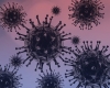 Sinaloa registr&oacute; 144 nuevos casos de contagio del virus covid -19: SS