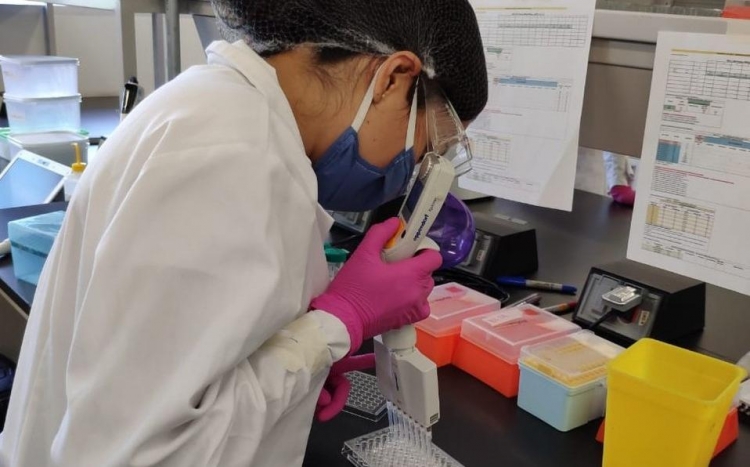 Desarrollan prueba para detectar el Covid-19 a trav&eacute;s de la saliva; cient&iacute;ficos de la UNAM