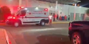 En Angostura, muere electrocutado un hombre que podaba una palmera