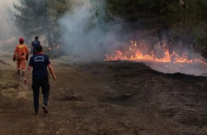 Turquía evacúa a más de 50 mil personas por incendios forestales