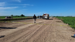 En un canal del pueblo de 'Lo de Sauceda' localizan a un hombre asesinado, en Navolato