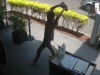 Vinculan a proceso a sujeto que lesion&oacute; con una piedra a un joven en taquer&iacute;a de la CDMX
