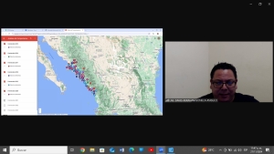 De 1999 a noviembre de 2024 se contabilizan en Sinaloa 1572 feminicidios: Observatorio de la UAS