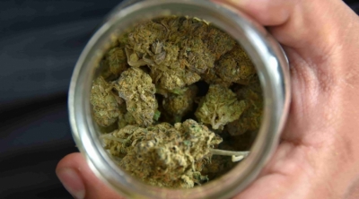 Nueva York legaliza oficialmente la marihuana para uso recreativo