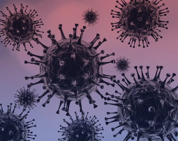 Se registraron 71 nuevos casos de contagio de covid -19 en Sinaloa