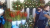 Floristas del Edomex se llevan las ganancias, denuncian comerciantes de Culiac&aacute;n